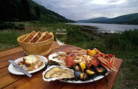 Loch fyne oysters